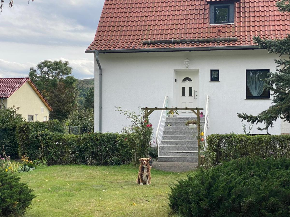 Ferienhaus Am Muehlgraben Thale Exterior foto