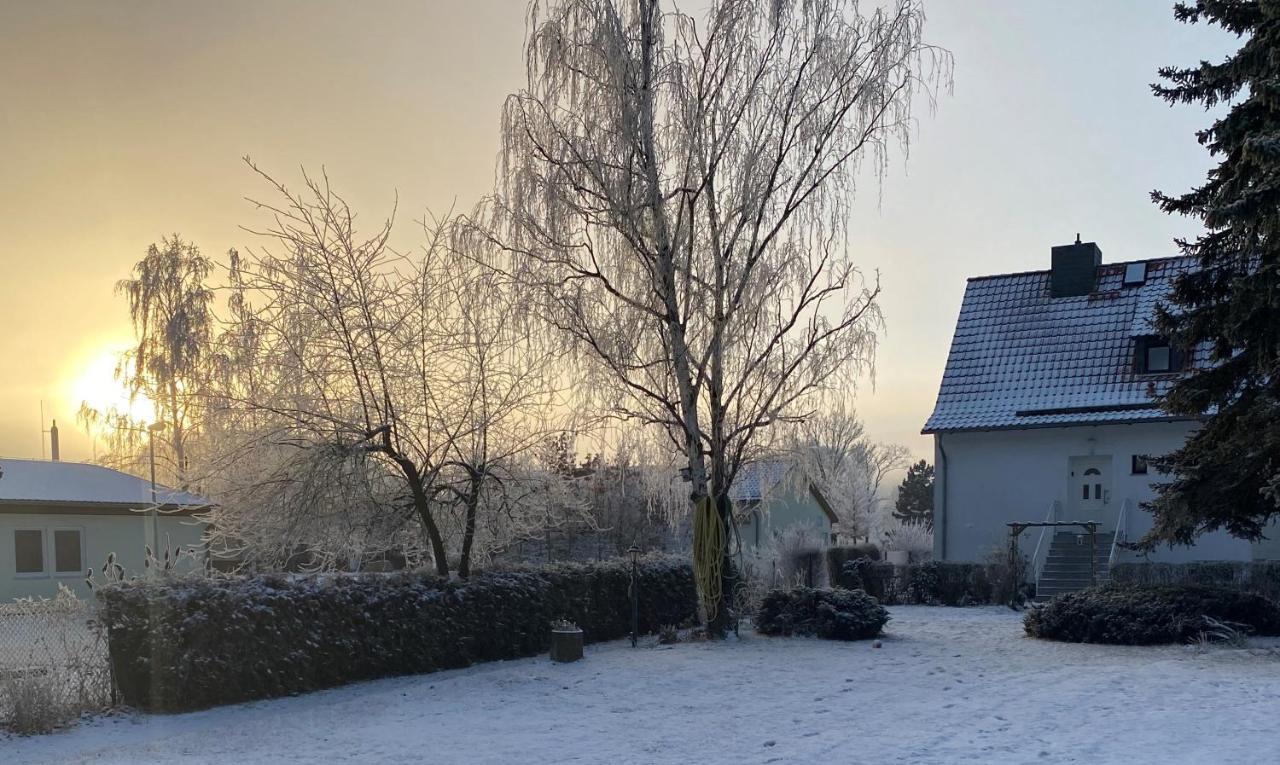 Ferienhaus Am Muehlgraben Thale Exterior foto